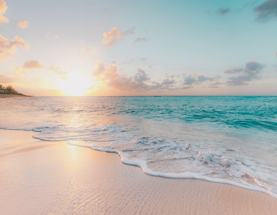 Our Hostel Preview Video